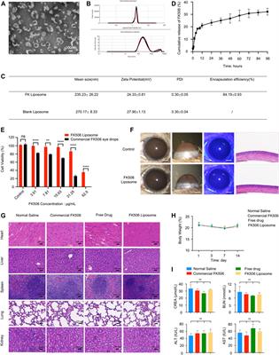 Inhibition of Neovascularization and Inflammation in a Mouse Model of Corneal Alkali Burns Using Cationic Liposomal Tacrolimus